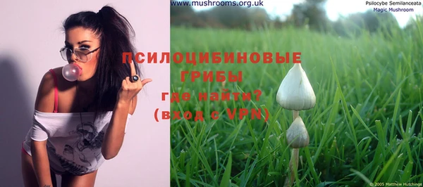 mix Каменногорск