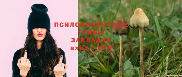 mix Каменногорск