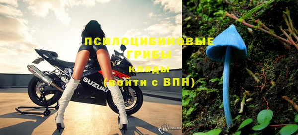 крисы Каменск-Шахтинский