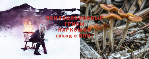 крисы Каменск-Шахтинский